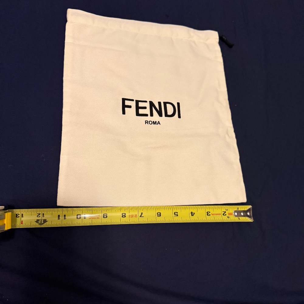 Fendi Shoe Bag